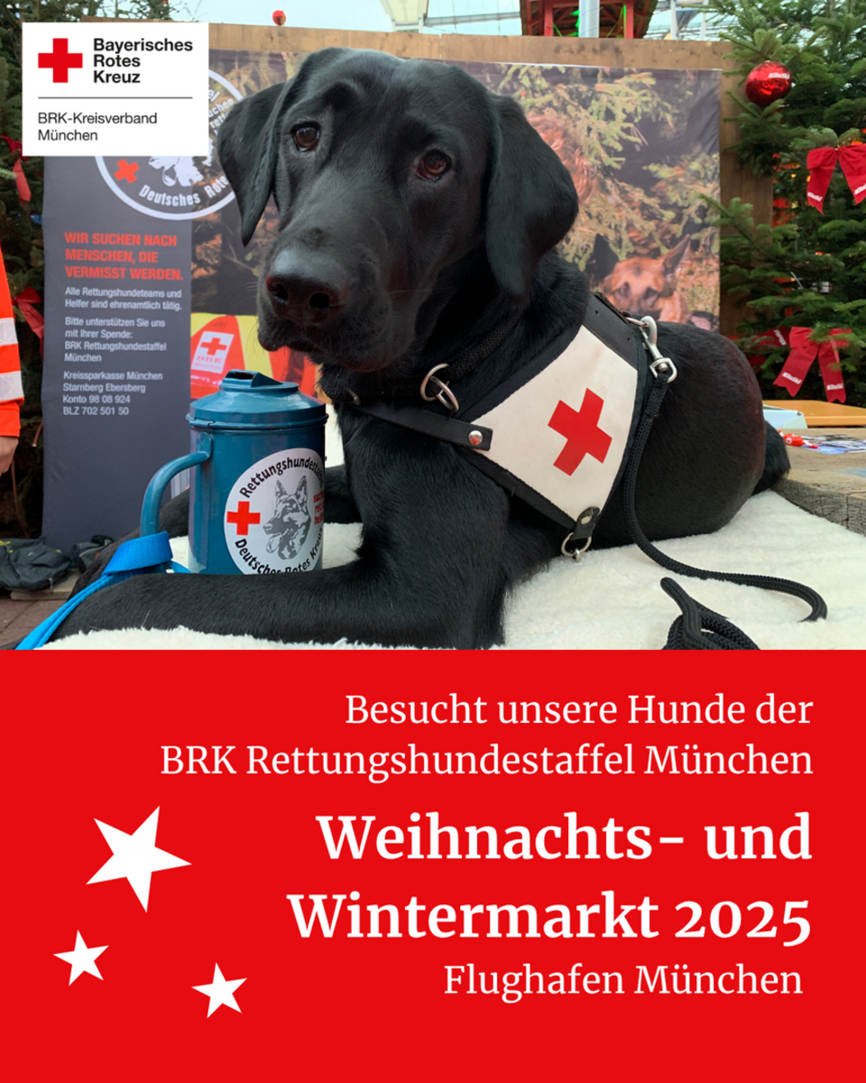 BRK RHS München Hund Luis mit Spendendose auf dem Weihnachts- und Wintermarkt Flughafen München